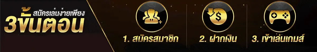 สล็อต ฝาก-ถอน true wallet